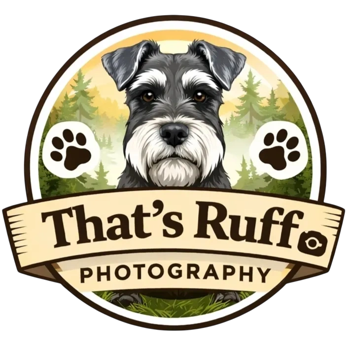 Dog portrait photography